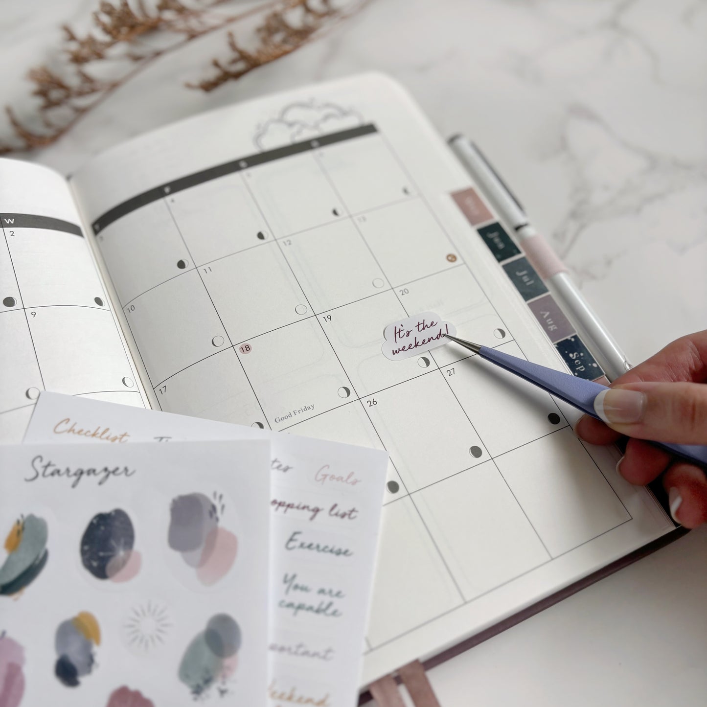 Stargazer 2025 Planners | Bundle Pack of 3 (UP. $132)