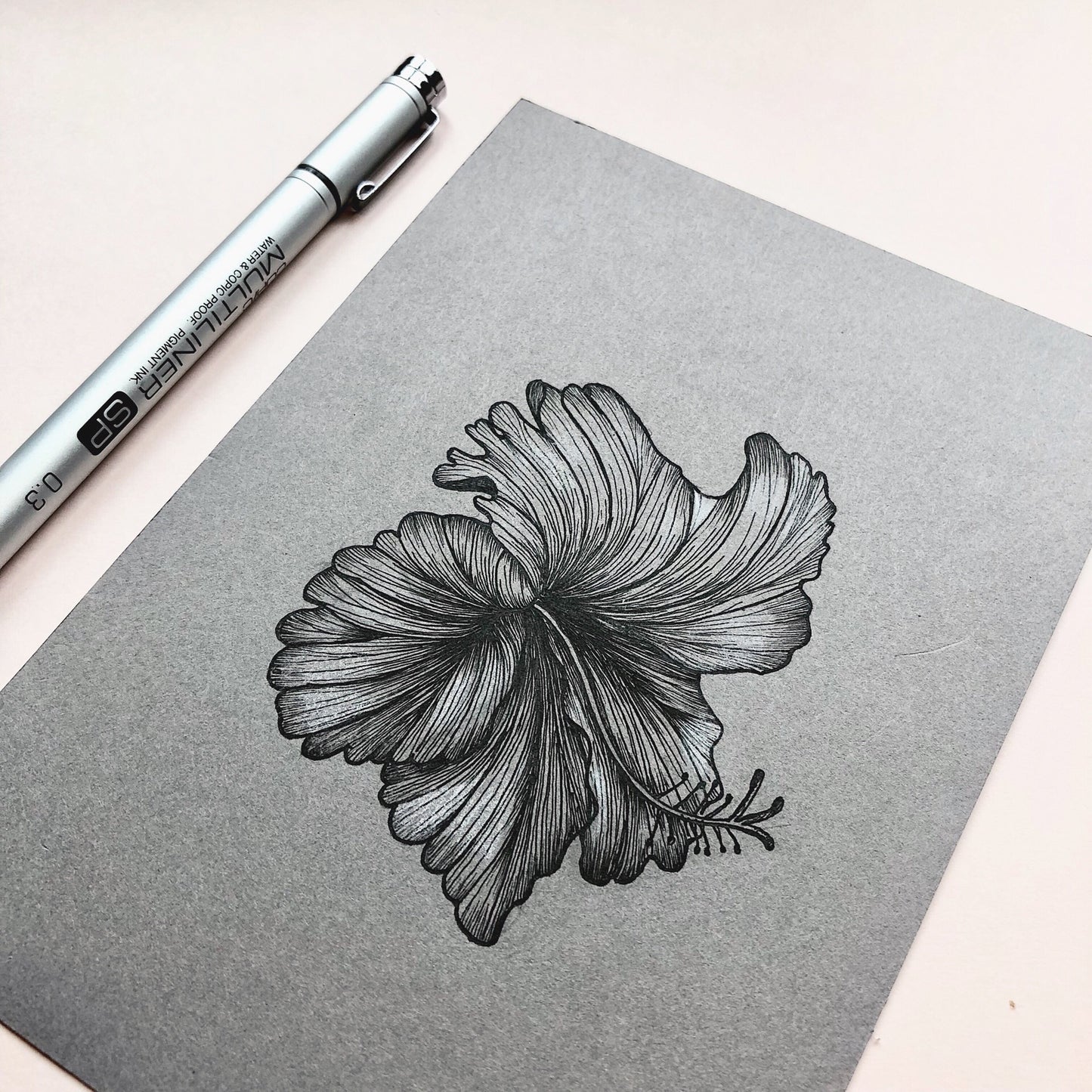 Framed Botanical Illustrations | Hibiscus